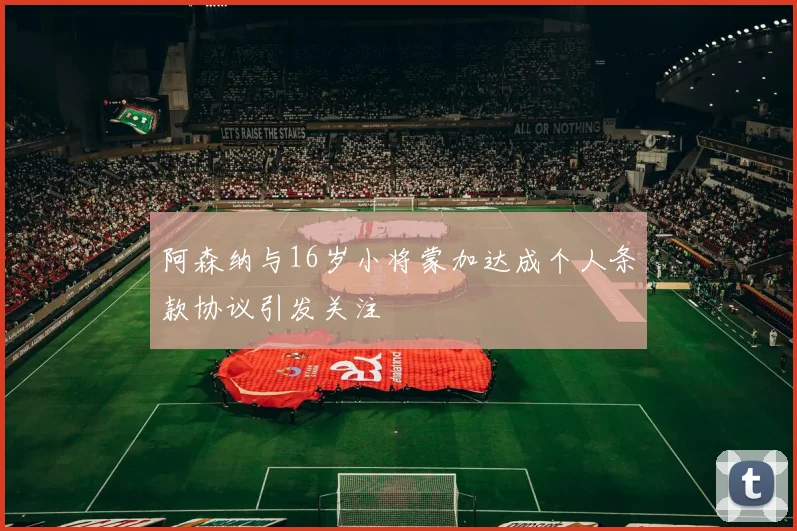 阿森纳与16岁小将蒙加达成个人条款协议引发关注